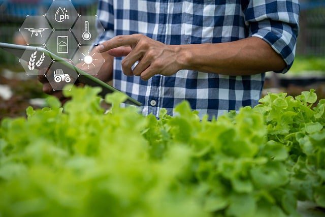 how-has-technology-improved-farming?
