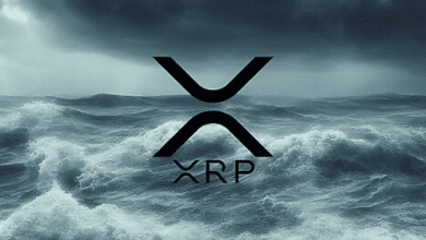 ripple-(xrp)-holders-turn-heads-towards-pushd-(pushd)-presale-amidst-altcoin-market-uncertainty