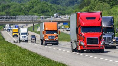 how-truck-drivers-can-stay-compliant-with-dot-and-immigration-requirements